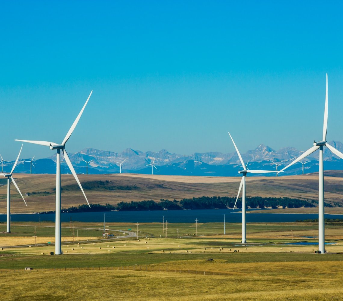 A sunny day with blue sky in a field with wind turbines.