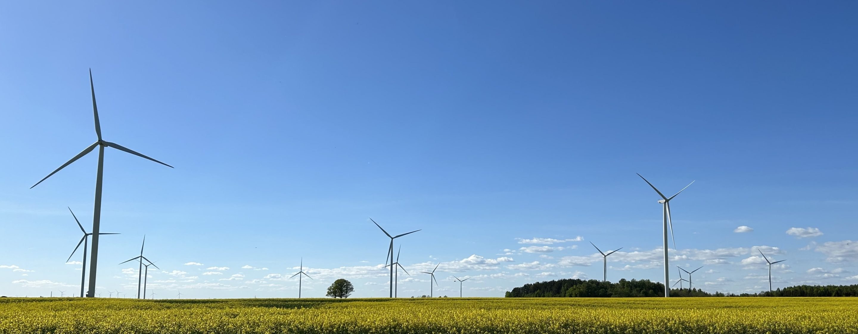 Wind power plants on a rapeseed field during a sunny spring day.