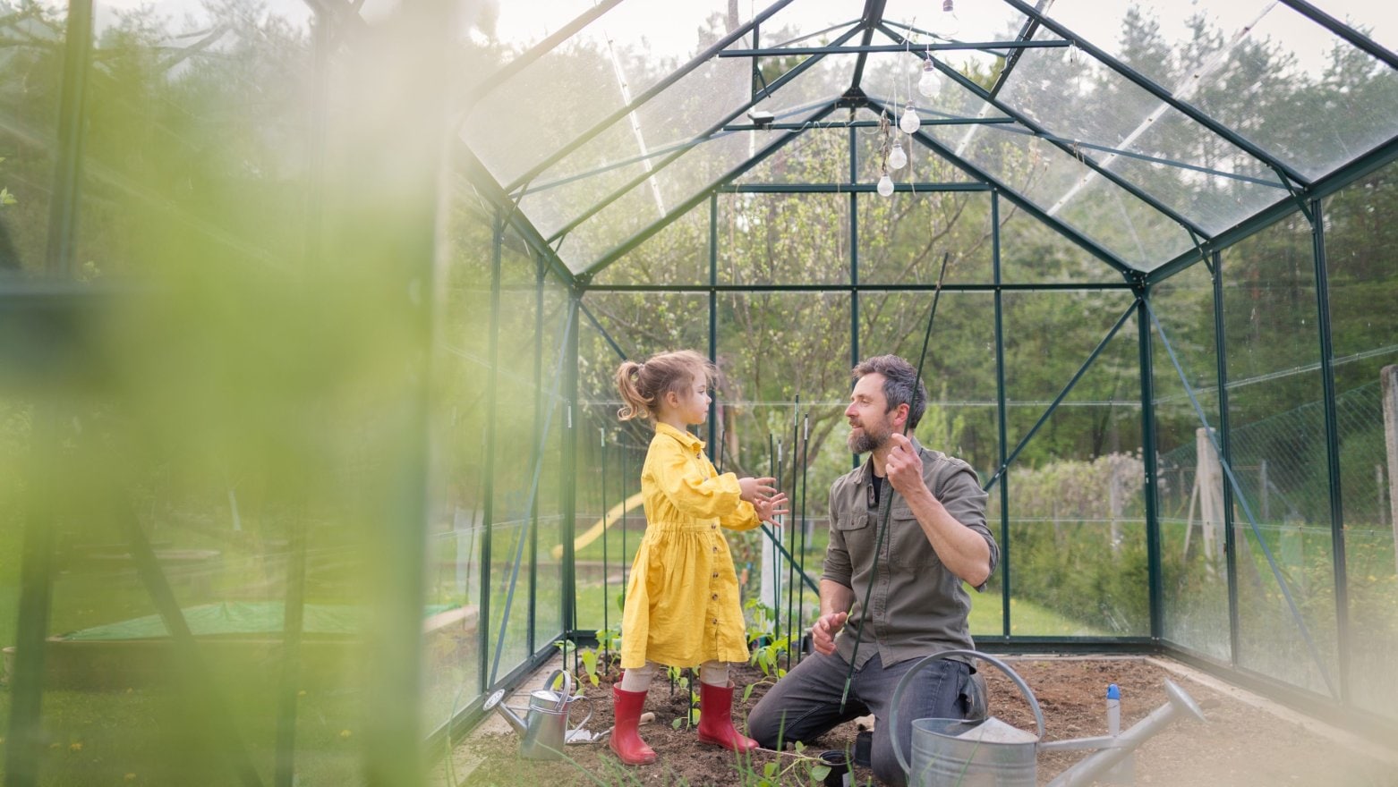 Father and daughter in a yellow dress and red rubber boots working together in a green house